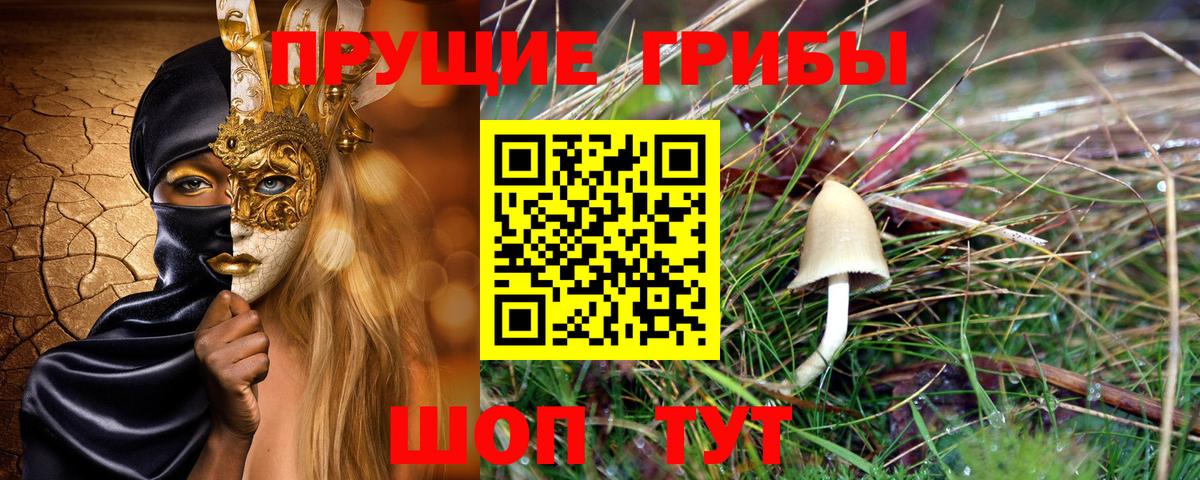 Галлюциногенные грибы Psilocybe  купить закладку  Осинники  Вход с VPN 